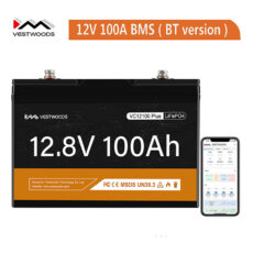 Vestwoods 12V 100Ah Lithium LiFePO4 Battery